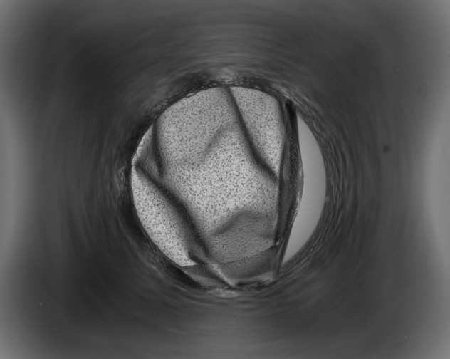 X0000084570611200703231823