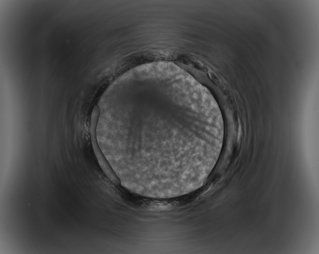 X0000084570613200703231823