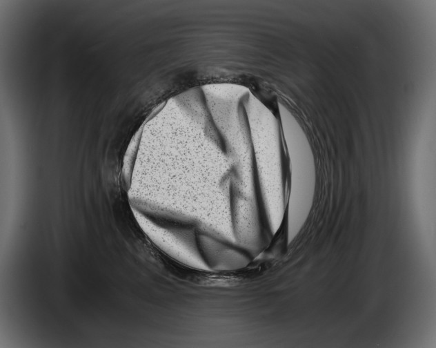 X0000084570617200703231823