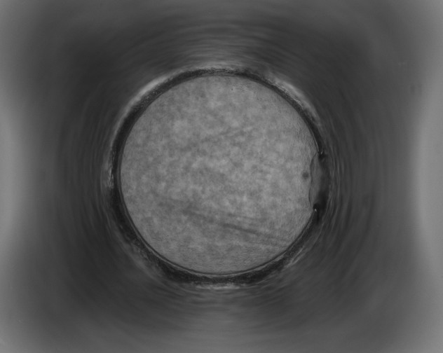 X0000084570628200703231822