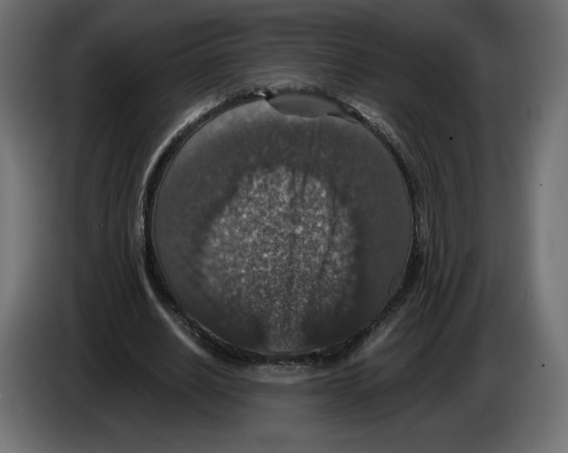 X0000084570630200703231822