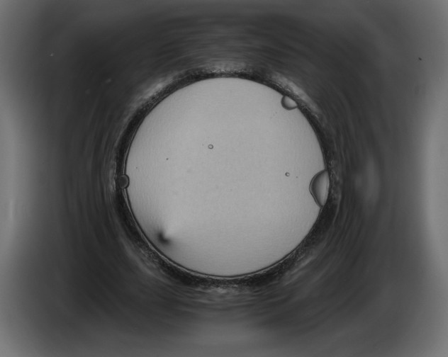 X0000084570631200703231822