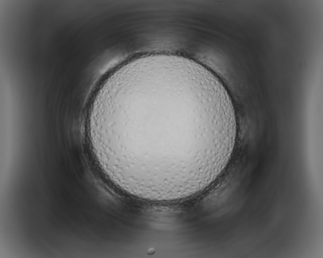 X0000084570632200703231822