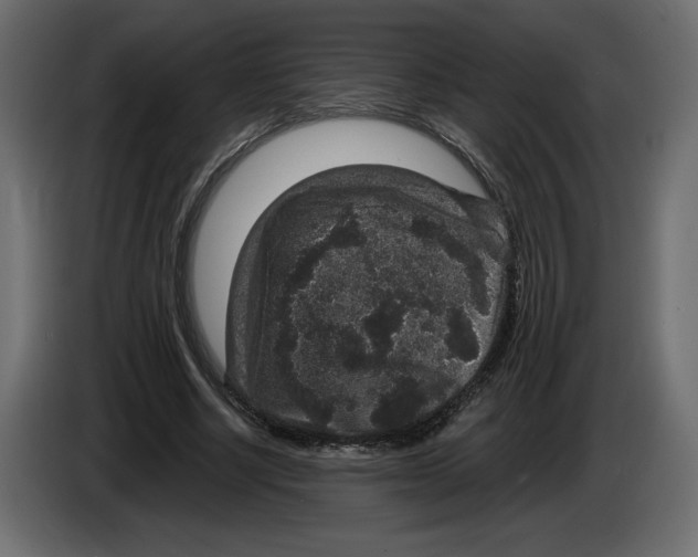 X0000084570634200703231822