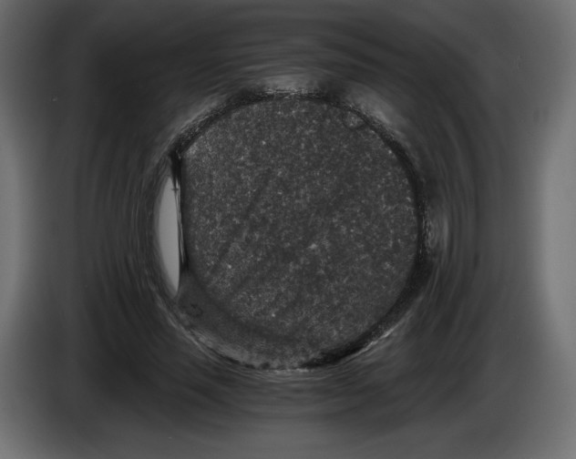 X0000084570637200703231822