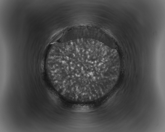 X0000084570640200703231822