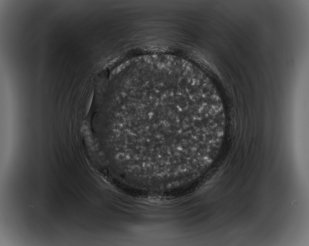 X0000084570641200703231822