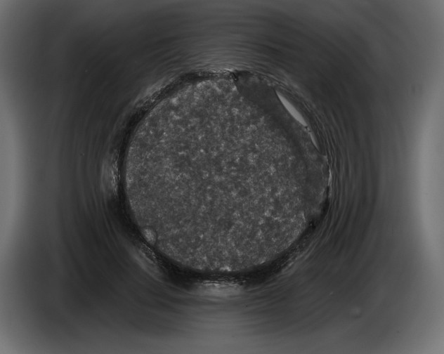 X0000084570644200703231822