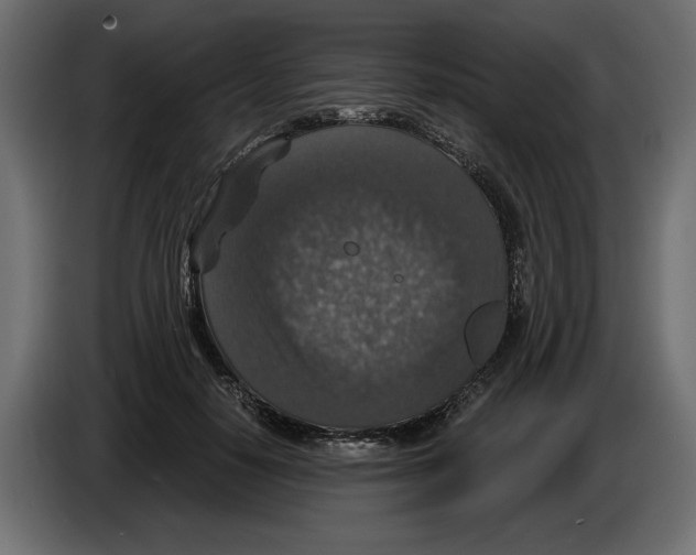 X0000084570650200703231822