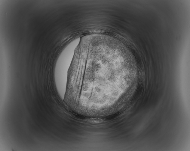 X0000084570652200703231822