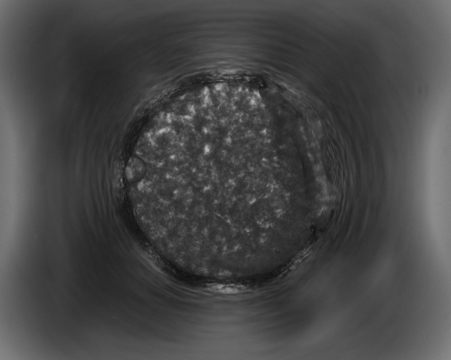 X0000084570654200703231822