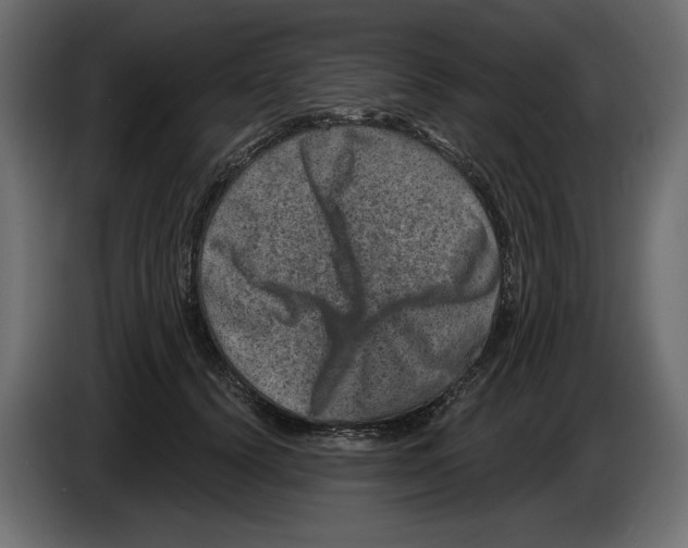 X0000084570656200703231822