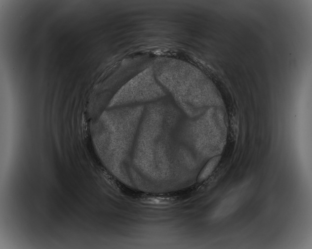 X0000084570657200703231822