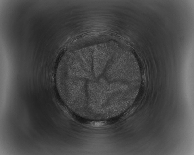 X0000084570662200703231822