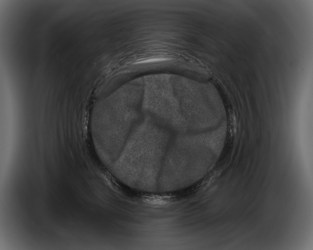 X0000084570664200703231822