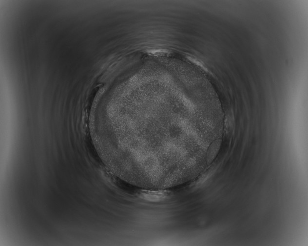 X0000084570671200703231822