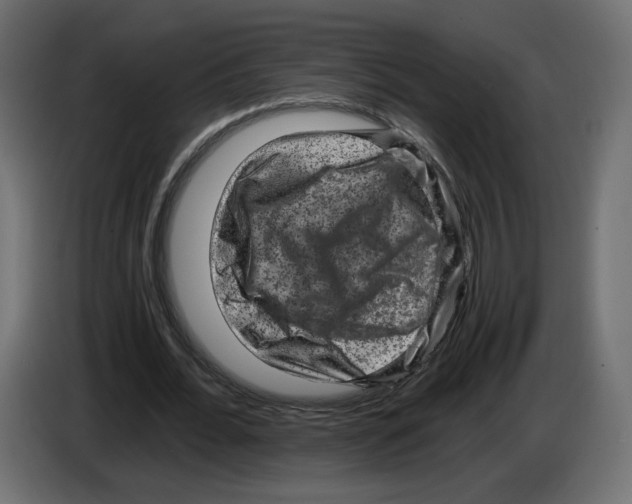 X0000084570676200703231822