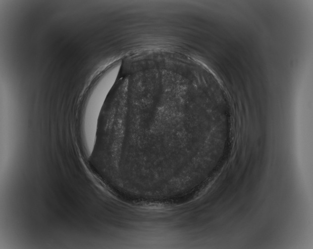 X0000084570677200703231822