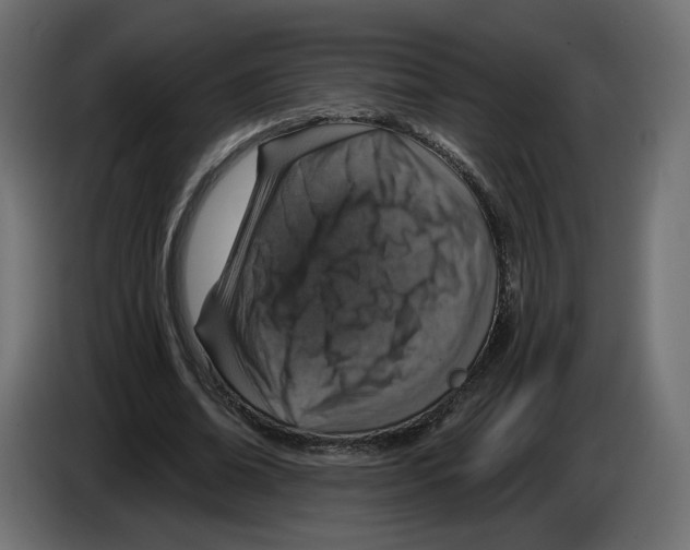 X0000084570678200703231822