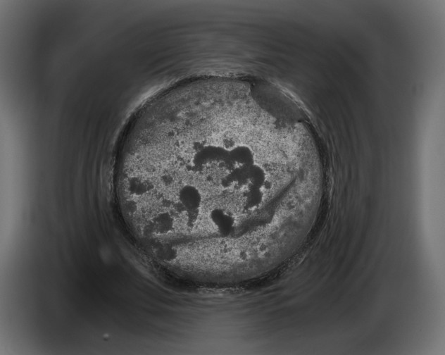 X0000084570679200703231822