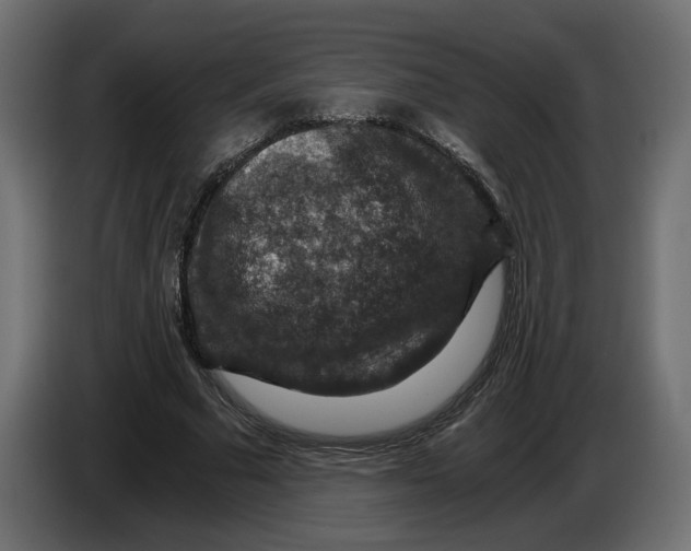 X0000084570681200703231822