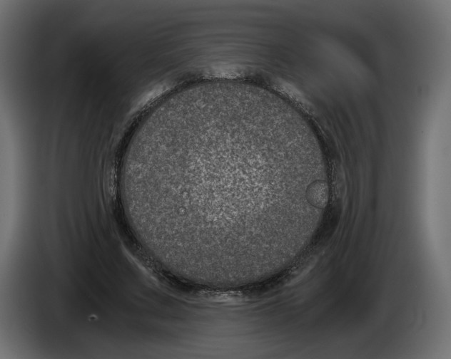 X0000084570683200703231822