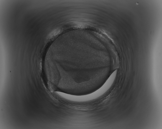 X0000084570685200703231822