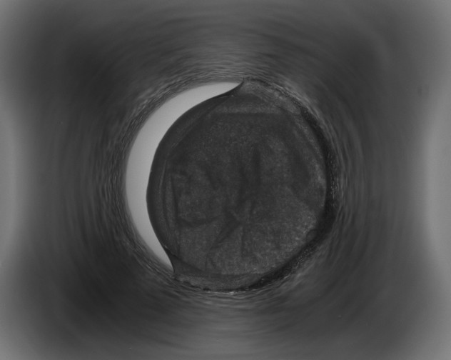 X0000084570689200703231822