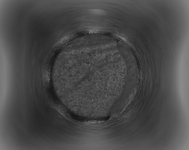 X0000084570691200703231821