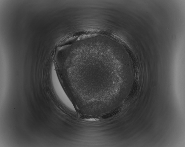 X0000084570692200703231821