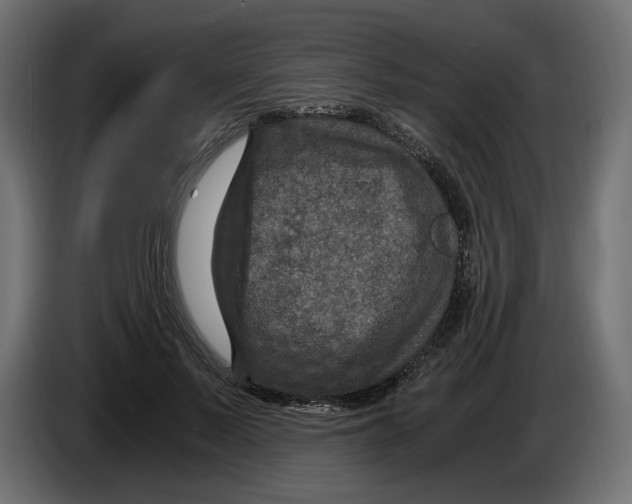 X0000084570695200703231821