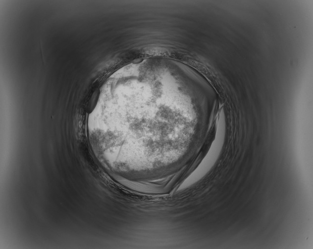 X0000084570696200703231821