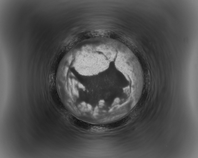 X0000084570699200703231821