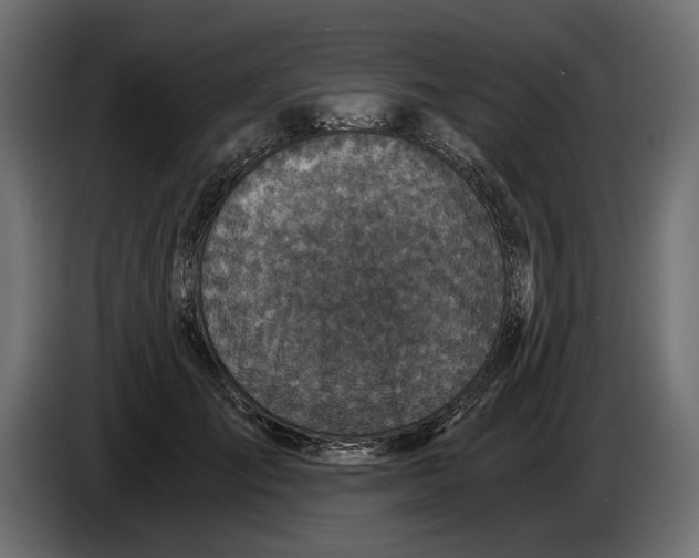 X0000084570701200703231821