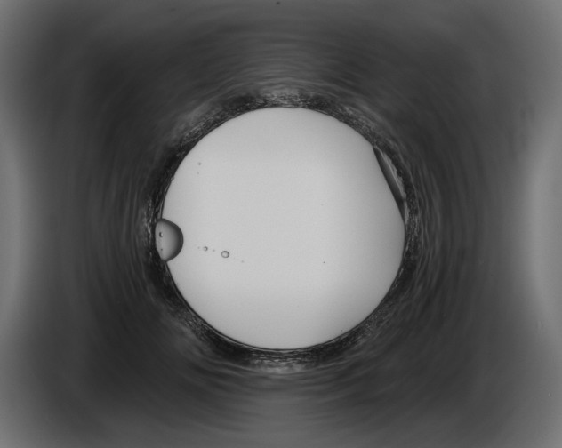 X0000084570702200703231821