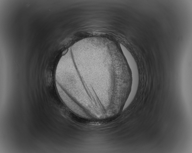 X0000084570704200703231821