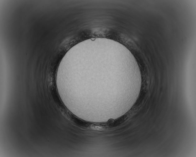 X0000084570706200703231821