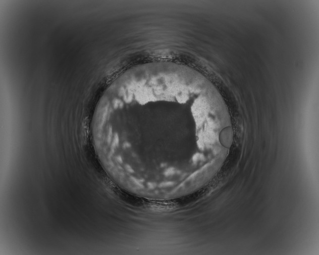 X0000084570707200703231821