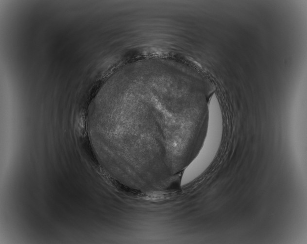 X0000084570709200703231821