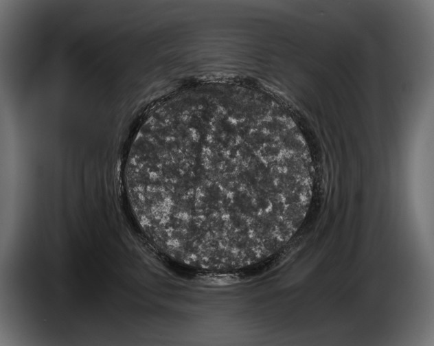 X0000084570711200703231821