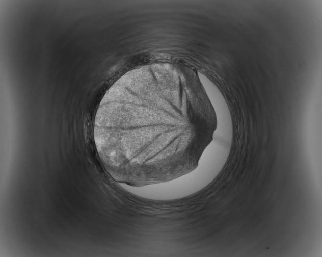 X0000084570712200703231821