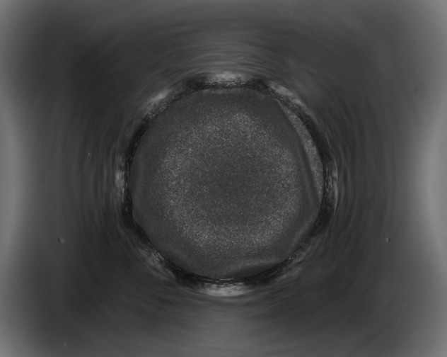 X0000084570716200703231821