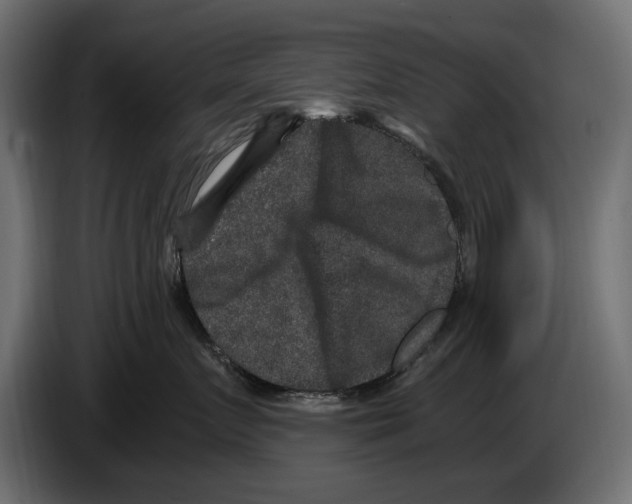 X0000084570719200703231821