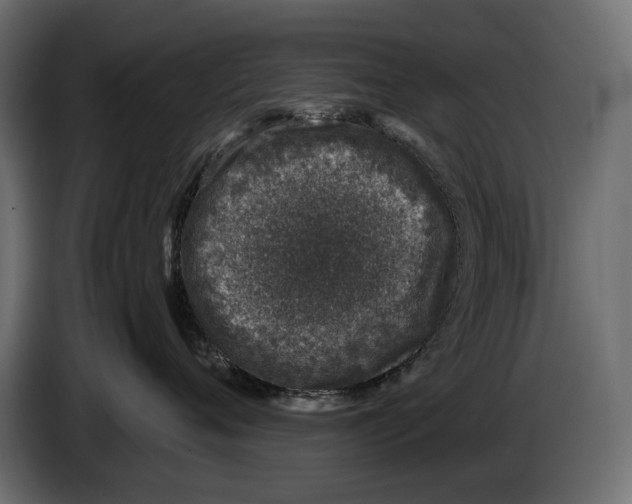 X0000084570720200703231821