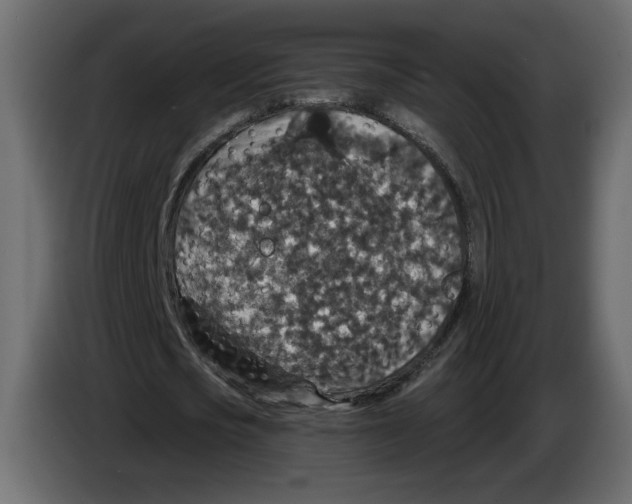 X0000084570721200703231820