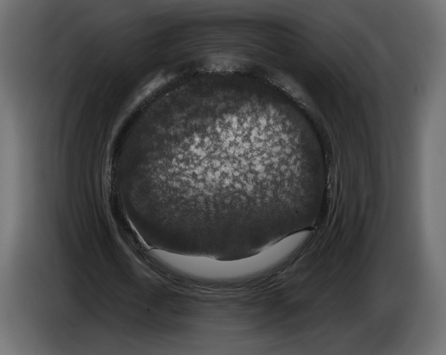 X0000084570722200703231820