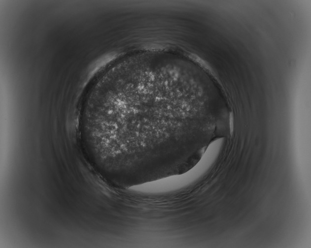 X0000084570723200703231820