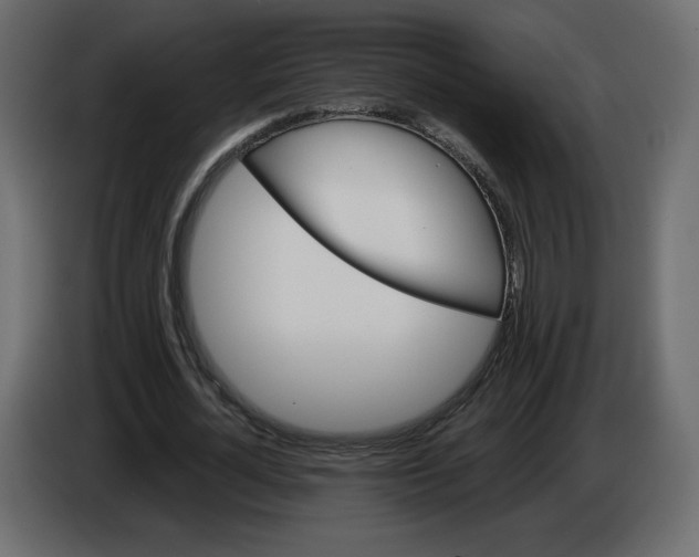 X0000084570724200703231820