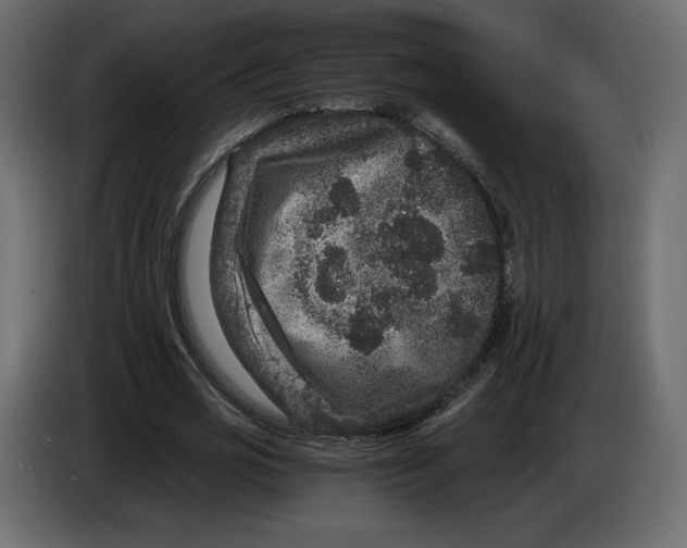 X0000084570725200703231820