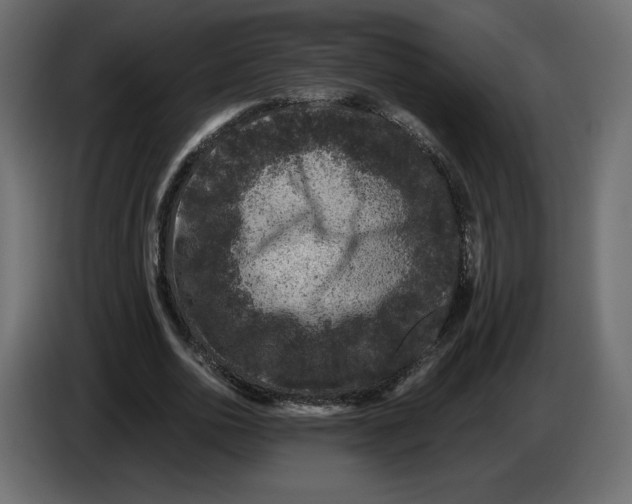 X0000084570726200703231820